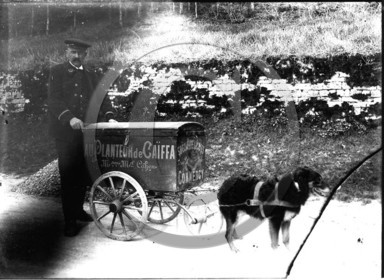 Commercy voiture a chien.jpg