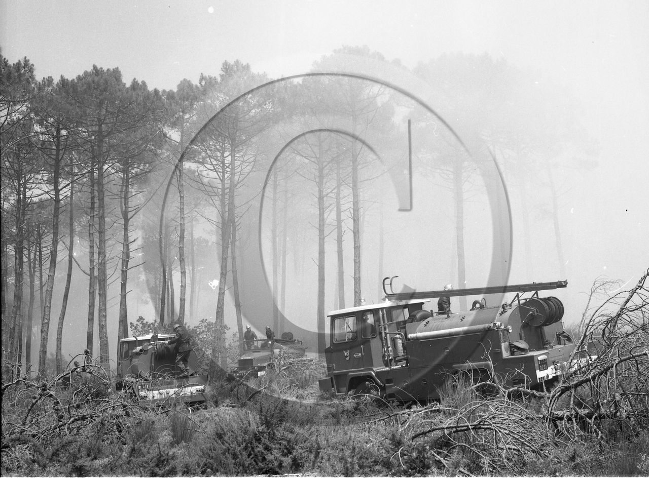 Pompiers du bassin d'Arcachon