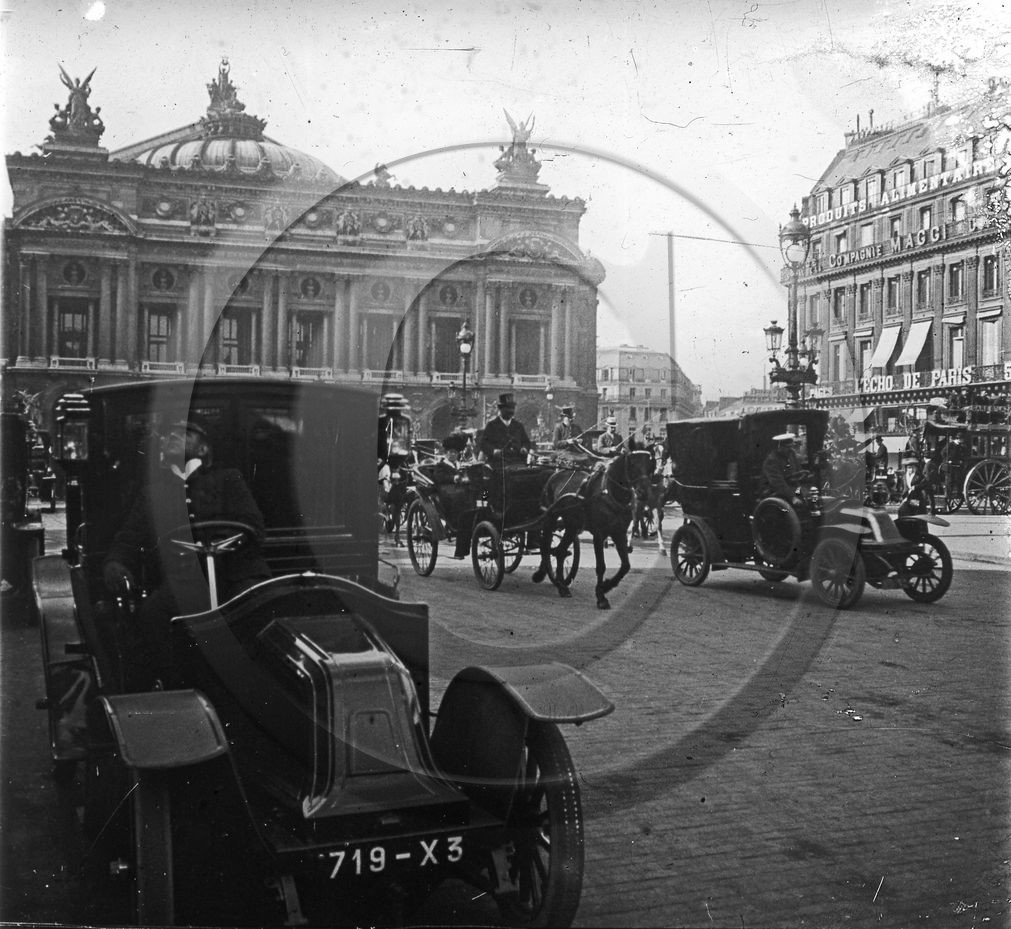 AU 4113 ancètre.jpg