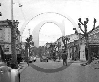arcachon avenue Gambetta arrachage des platanes mercredi 17 janvier 1962 -1-.jpg