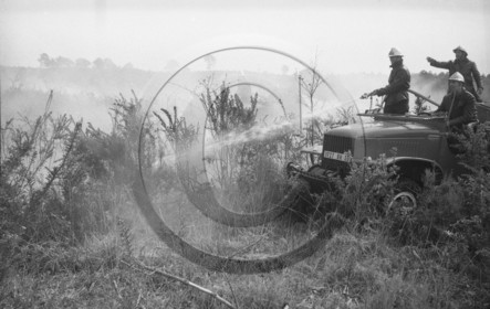 Pompiers du bassin d'Arcachon