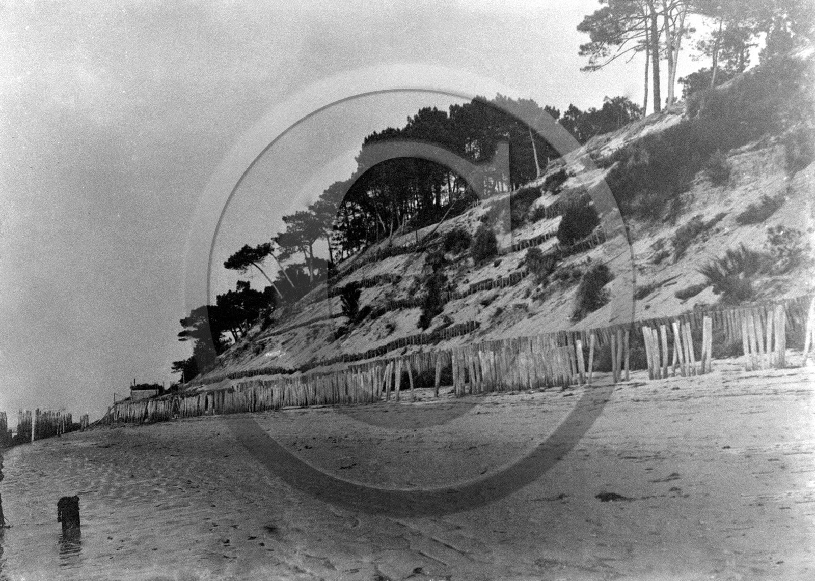 arc 3559 a3607 010.jpg