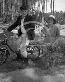 mov 151 velosolex .jpg