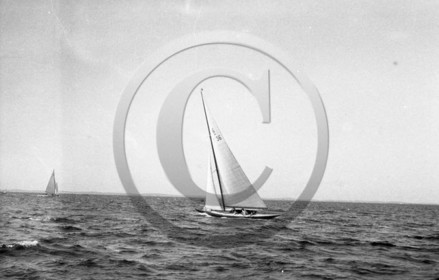 arc 4393 voilier 6 M F36 .jpg