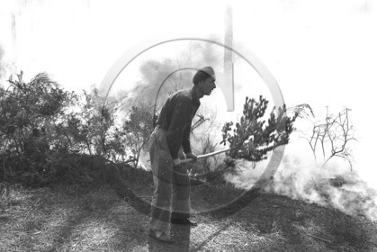 Pompiers du bassin d'Arcachon