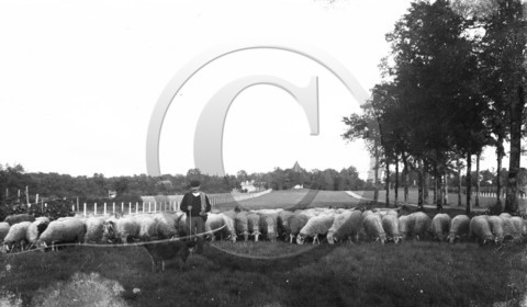 AG 759 berger  au fond moulin .jpg