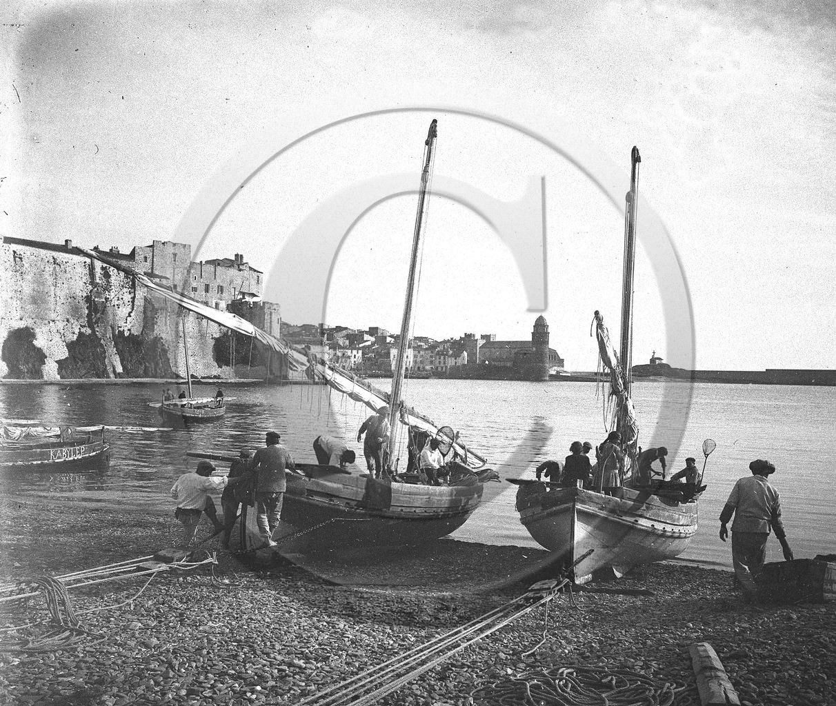 vi  1031 collioure.jpg