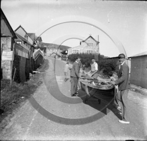 BA 330  Col.NG      .jpg.jpg