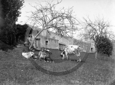 AG 576 ferme enfants vache .jpg