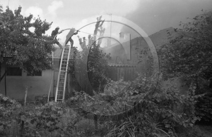 Pompiers du bassin d'Arcachon