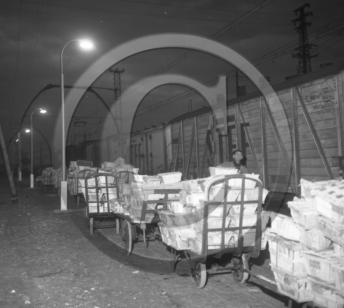 ARC 3636 expédition d'huitres 22 décembre 1966.jpg