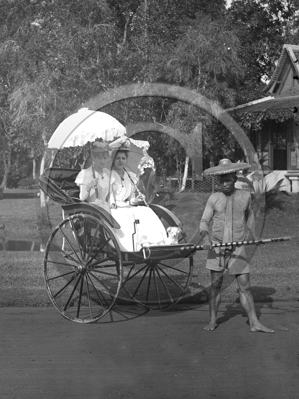 Sans titre - 2  pousse pousse.jpg