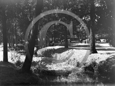 AG 641 vache aux pres .jpg