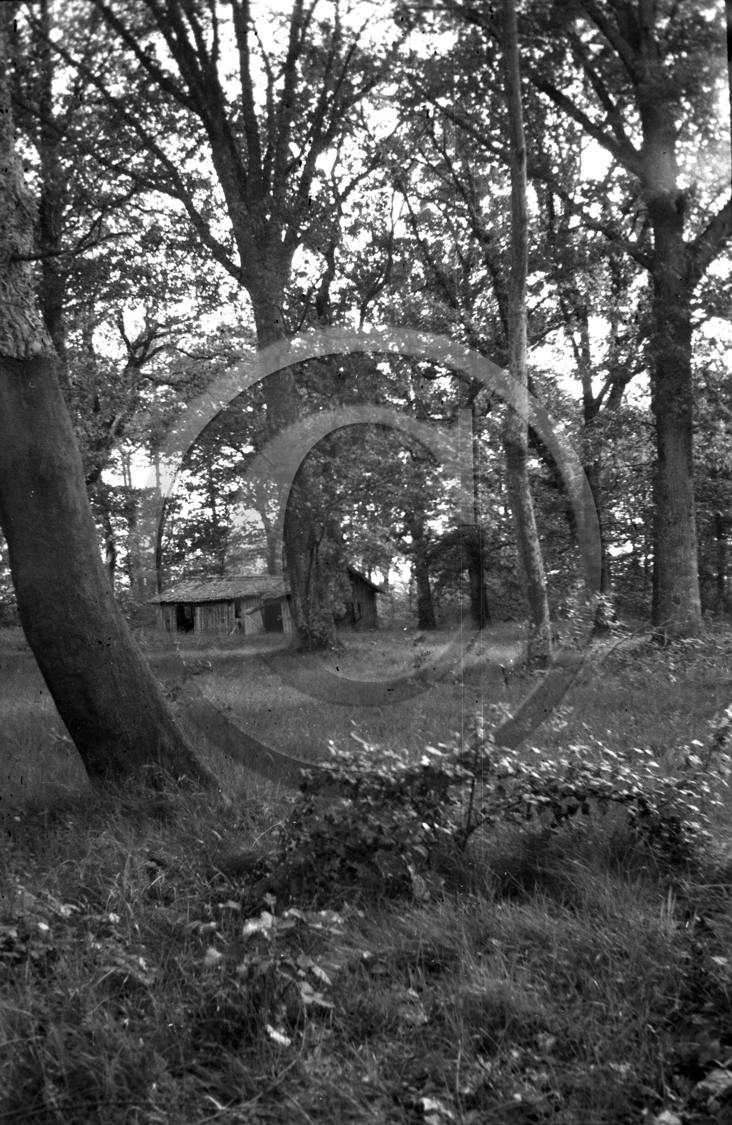 arc 2245 Malakoff.jpg