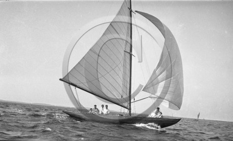 arc 1565 sitaris.jpg