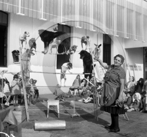 FO-CIRQUE  45 chiens savants .jpg