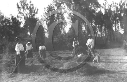 vi  1023   le Tuzan famille Pié.jpg