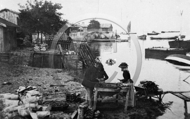 arc 4573 détroquage des huitres  .jpg