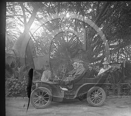 AU 3623 ancetre .jpg