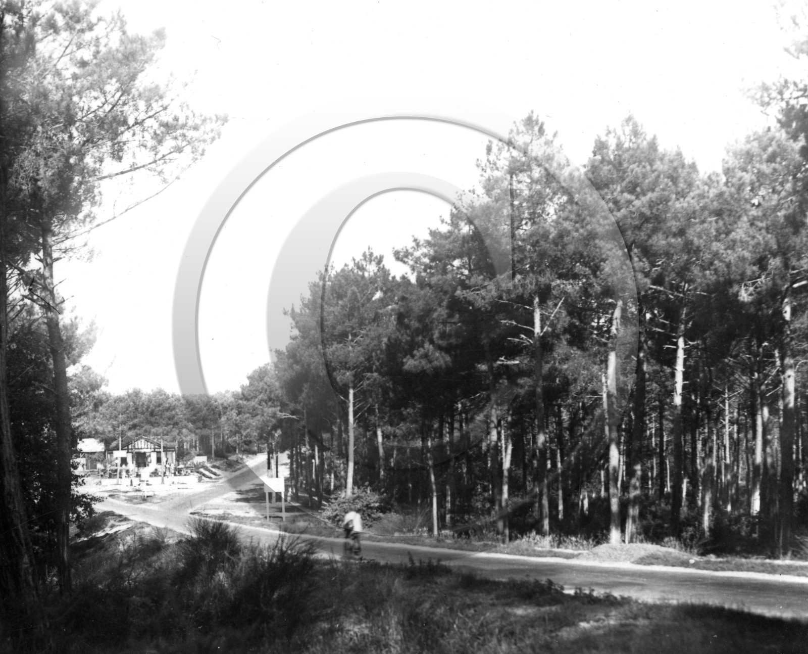 arc 4150    route de la Teste  le cabaret des pins.jpg