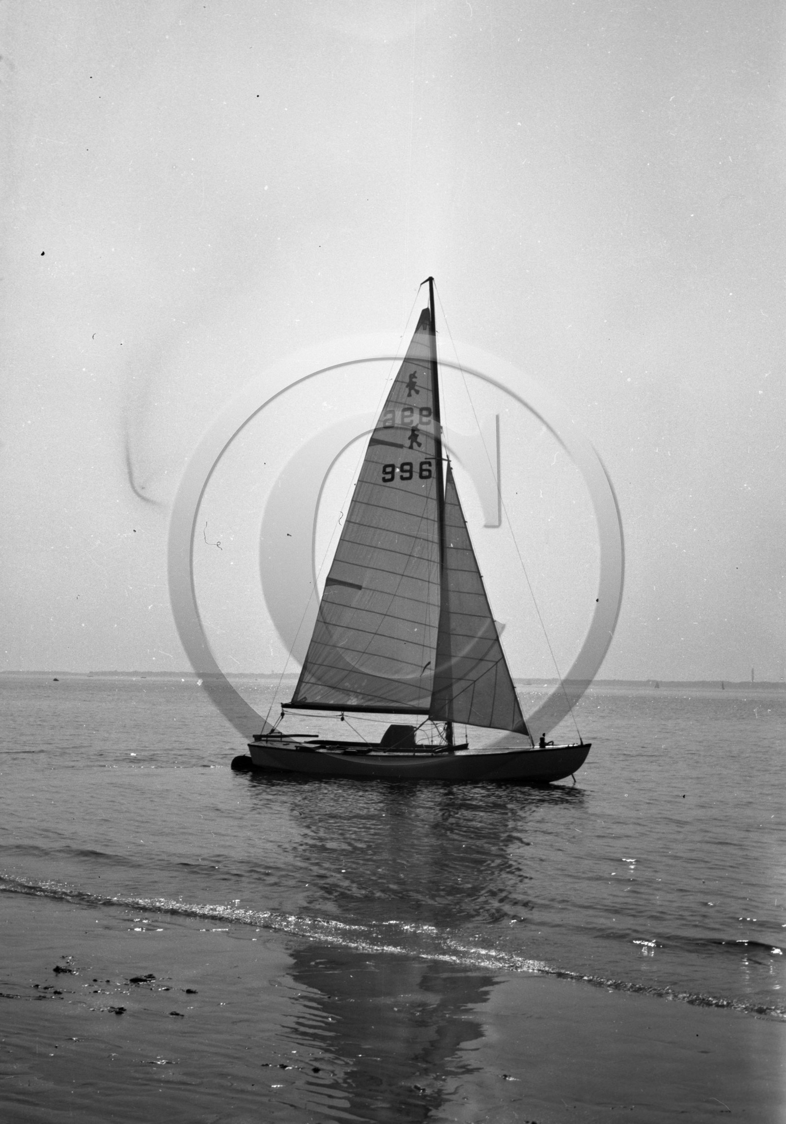 arc 4370 caneton 996 contre jour .jpg