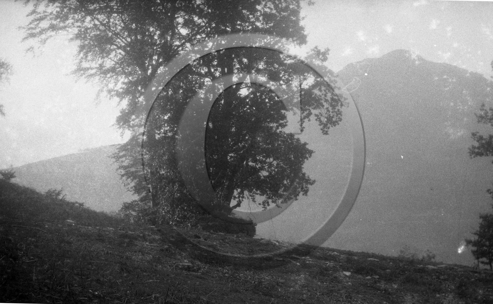 vi  492 chasse a la palombe Sare 1929 dpt 64 .jpg