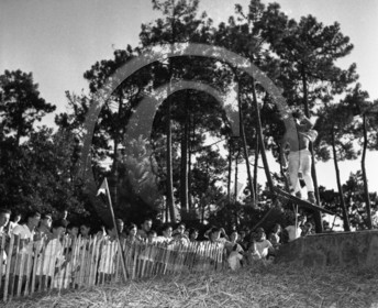 arc 4578 ski sur aiguilles de pin serie Annie Famose famose .jpg