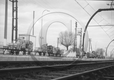 ARC 3637 expédition d'huitres 22 décembre 1966.jpg