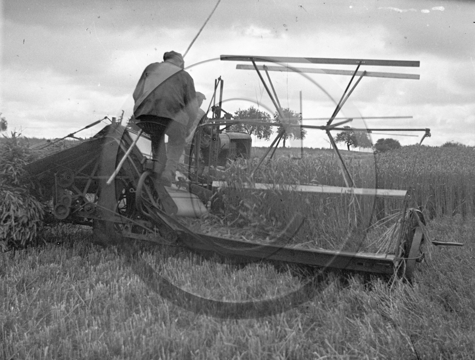 AG 534 moisson des blés .jpg
