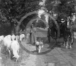 Paris deauville en fiacre Rachel D'orange.jpg