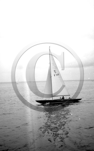 arc 4432  Dragon F111 .jpg