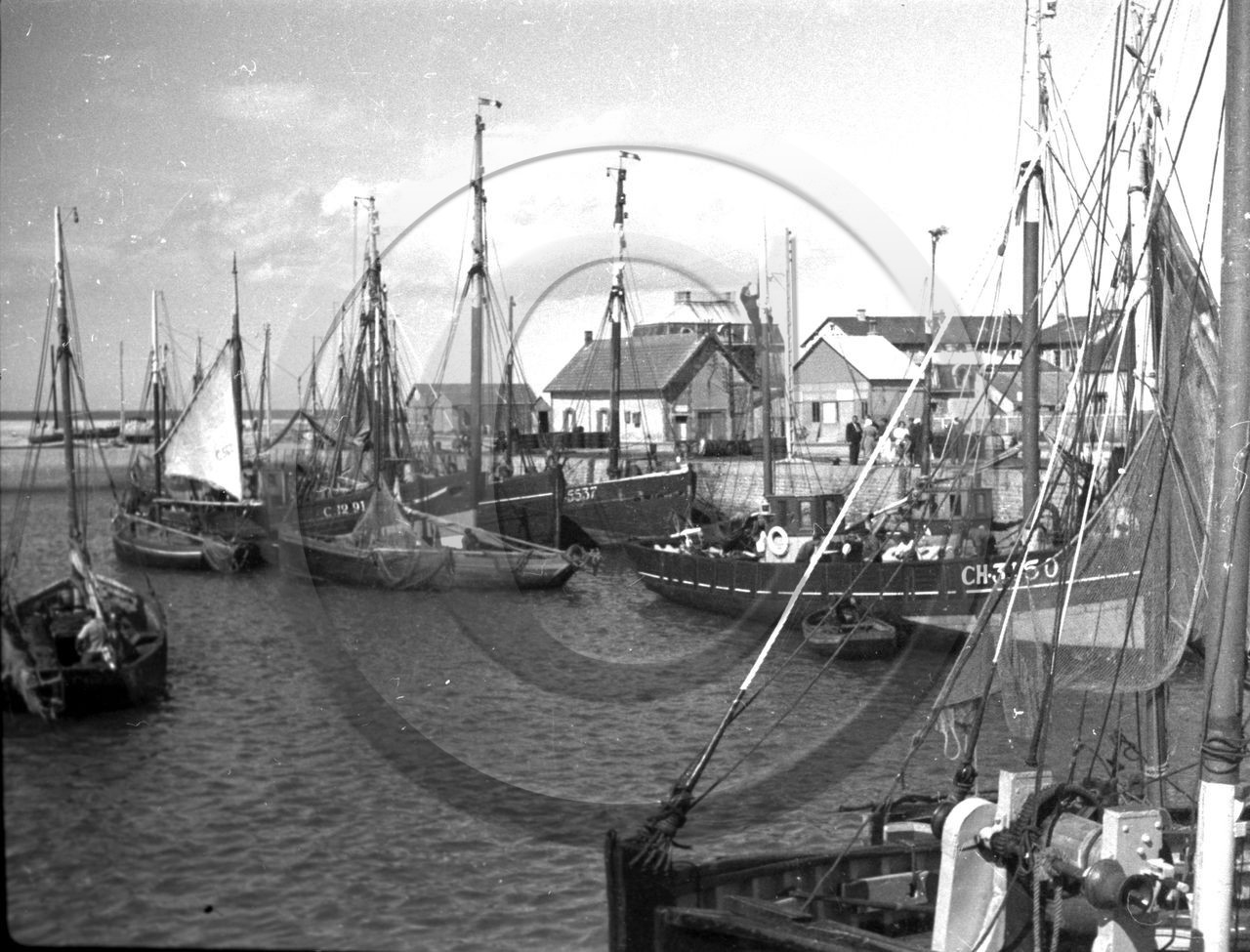 vi  811 port bateau de peche de Cherbourg  dpt 50 .jpg