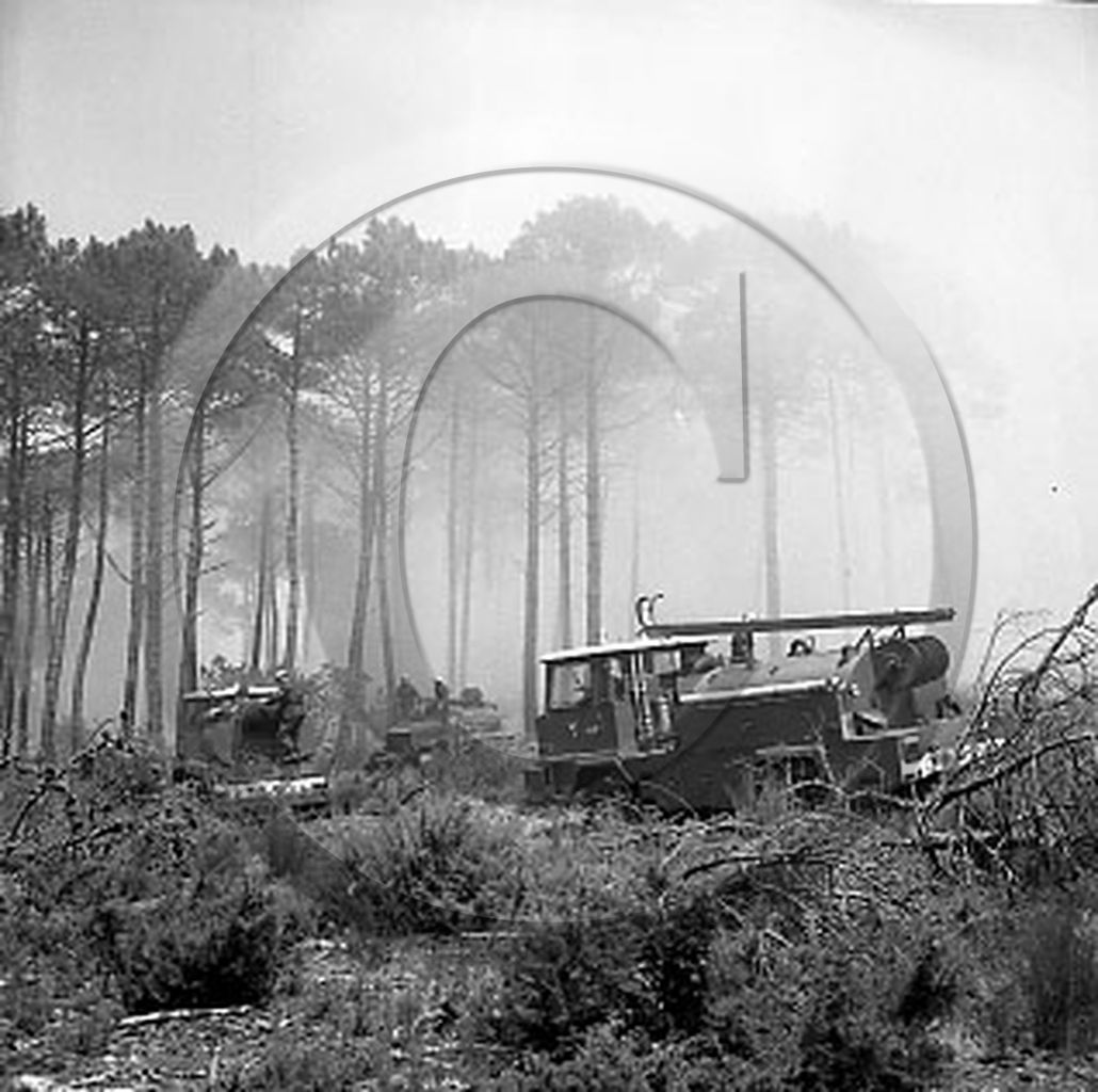 Pompiers du bassin d'Arcachon