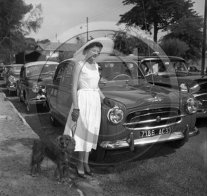 AUCE 415 Peugeot 403 berline .jpg