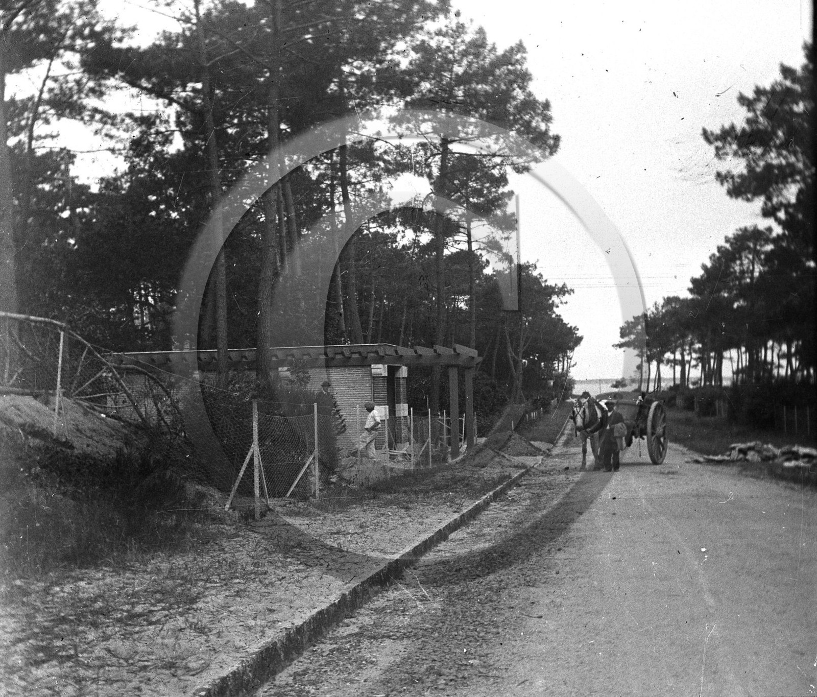 arc 4170       le Moulleau.jpg