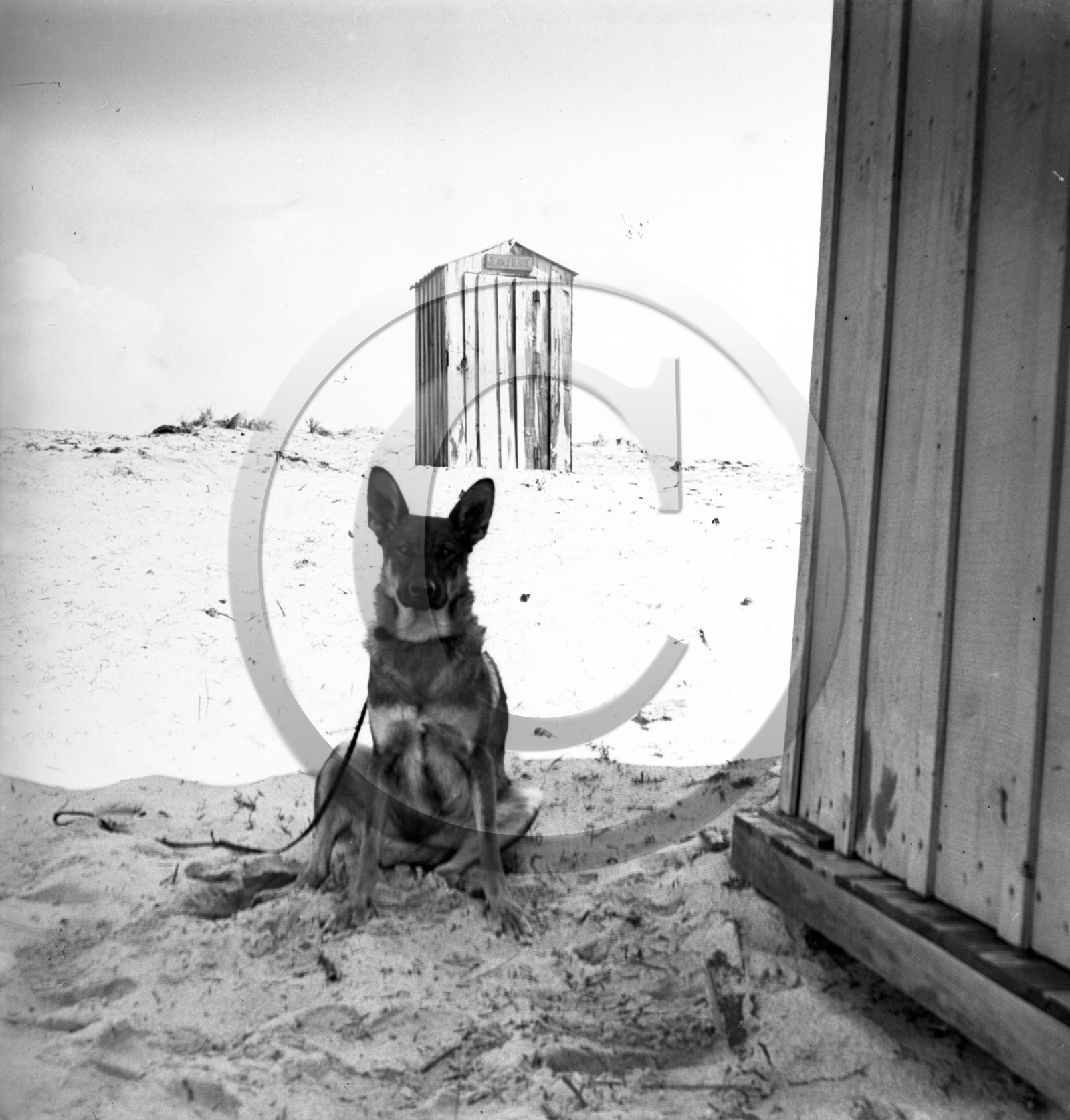 vi  1746 Montalivet en 1931 la cabane Jean Pierre dpt33.jpg