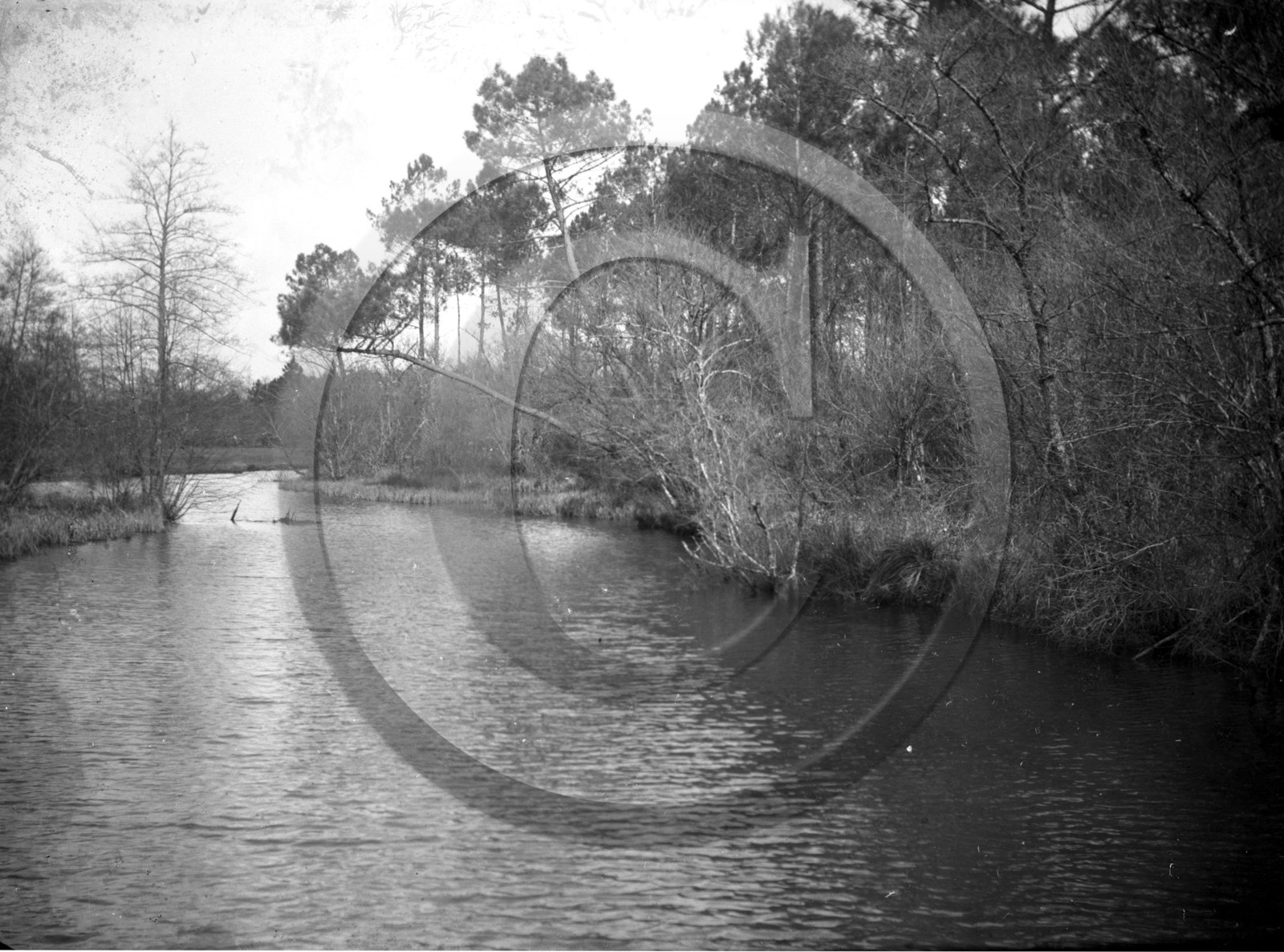 vi  1843 environs de Grignols dpt 33 .jpg