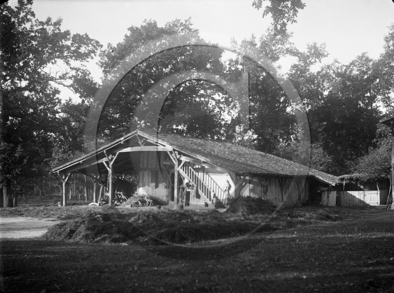 AG 732  ferme Grignols .jpg