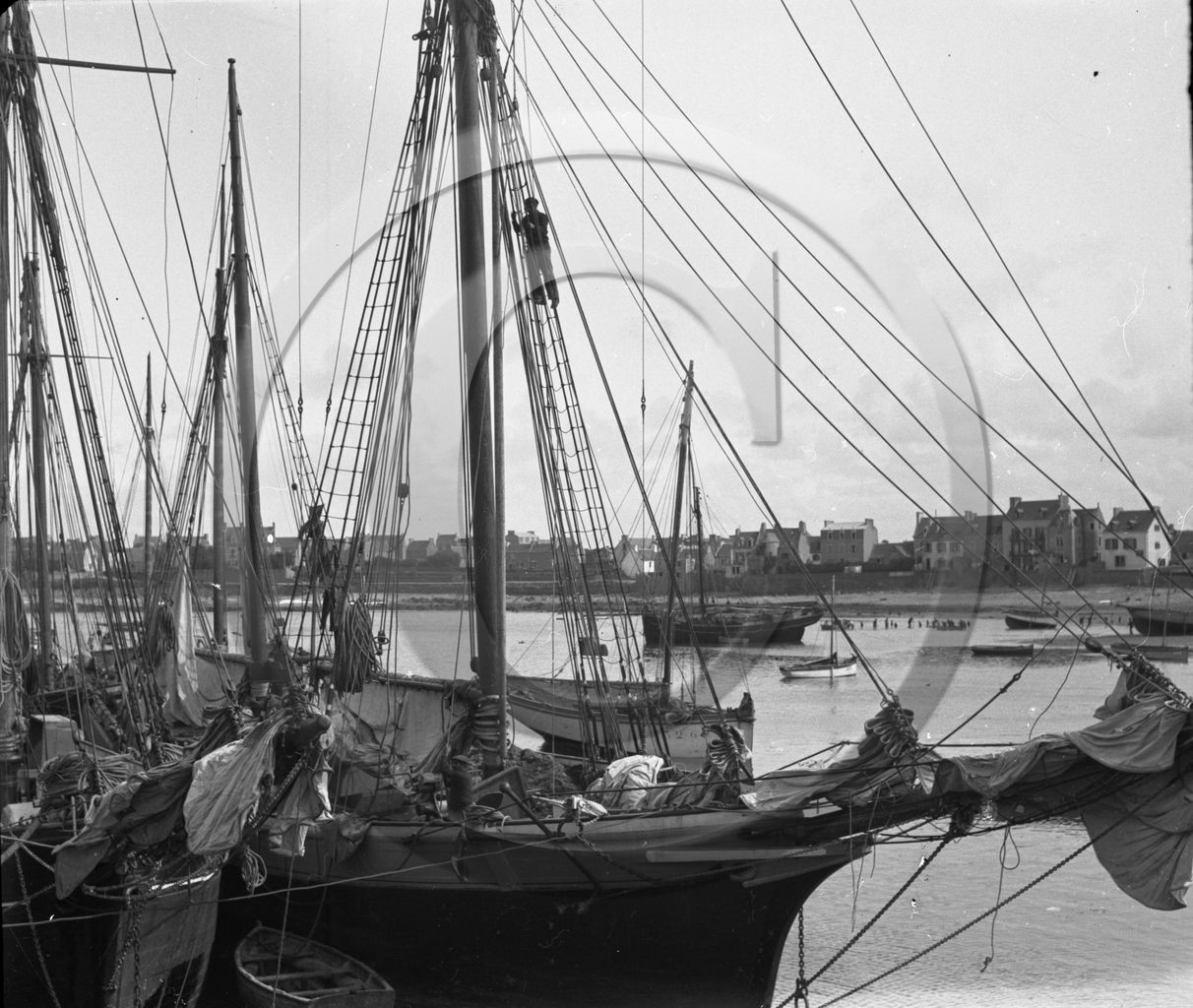 BA 264  Finistère  Roscoff dpt 29 .jpg