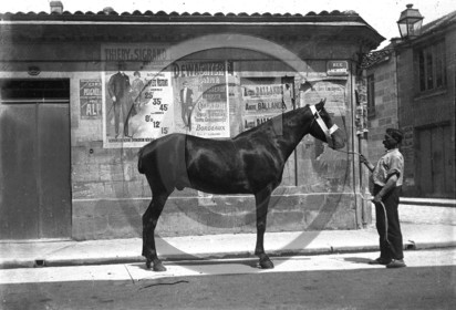 BX 67     rue Lacornée.jpg