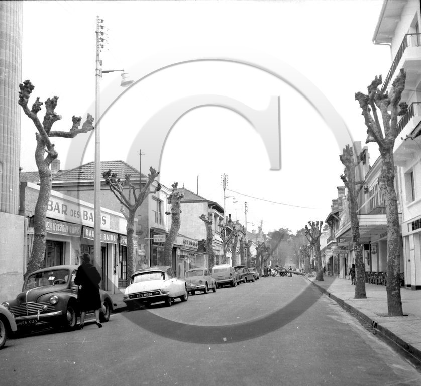 arcachon avenue Gambetta arrachage des platanes mercredi 17 janvier 1962 -3-.jpg
