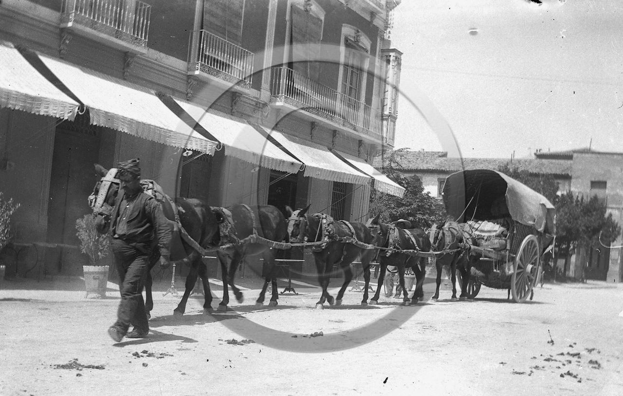 AG 426 train de mules Espagne .jpg