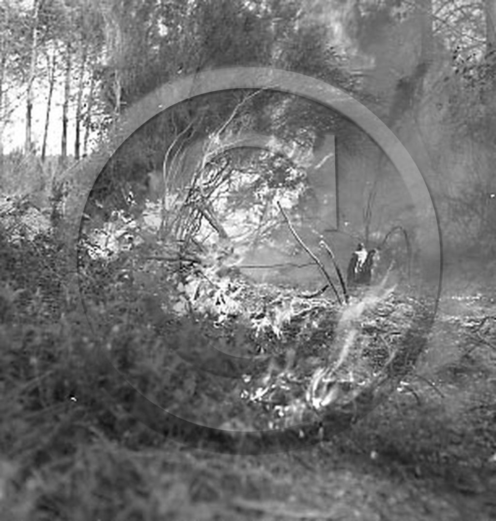 Pompiers du bassin d'Arcachon