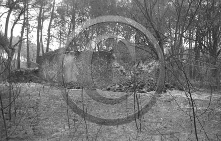 Pompiers du bassin d'Arcachon