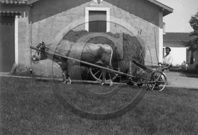 vi  1628 Loupiac dpt 33 .jpg