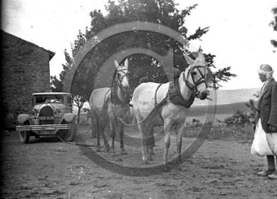 AU 3786 Lorraine .jpg