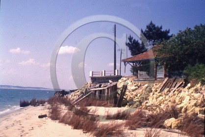 arc 4016  Hortense.jpg