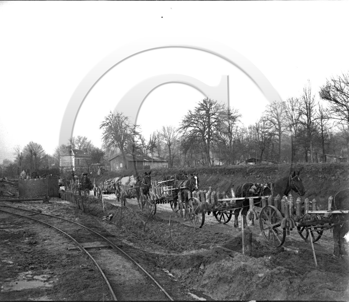 vi  432 Dannemarie Dammerkirch  dpt 68  .jpg