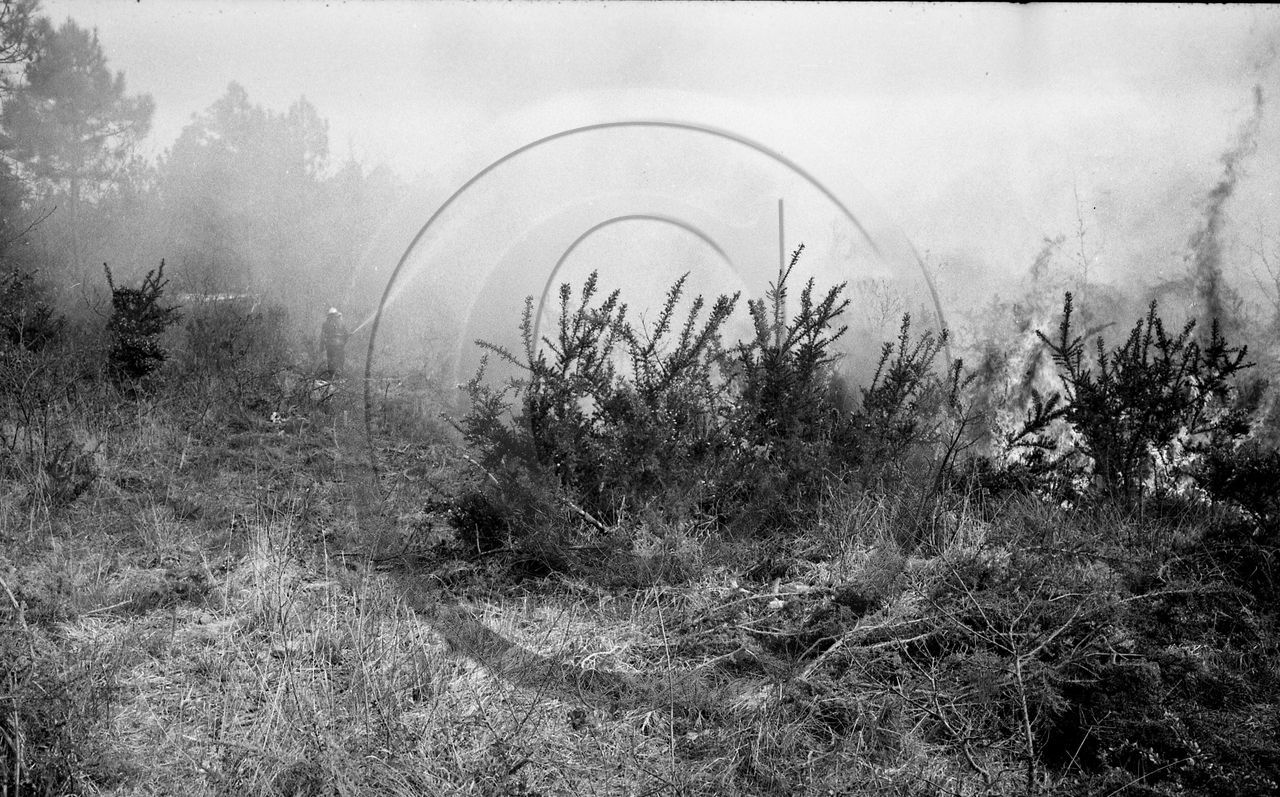 Pompiers du bassin d'Arcachon