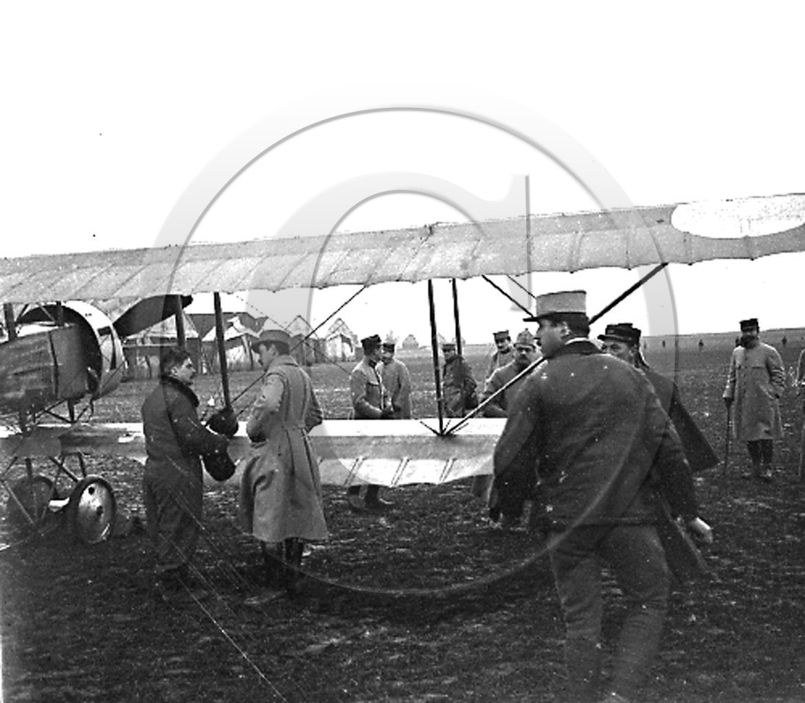 avi dammerkirch 1.jpg